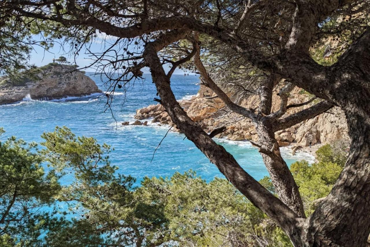 Tranquil 1 Bedroom Close To The Beach With Terrace - Dodo Et Tartine Carry-le-Rouet Esterno foto